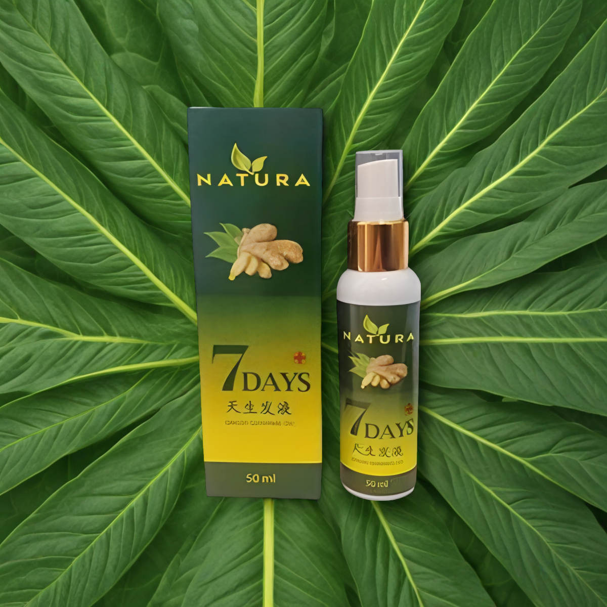 7DAYS (LOW PRICE)