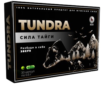 Тундра 